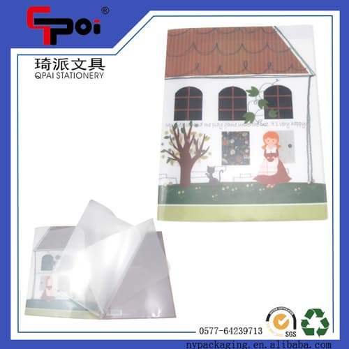 PP Stationery Office A4 Size Clear File Folder Display Book